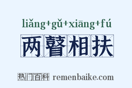 两瞽相扶是什么意思的图片